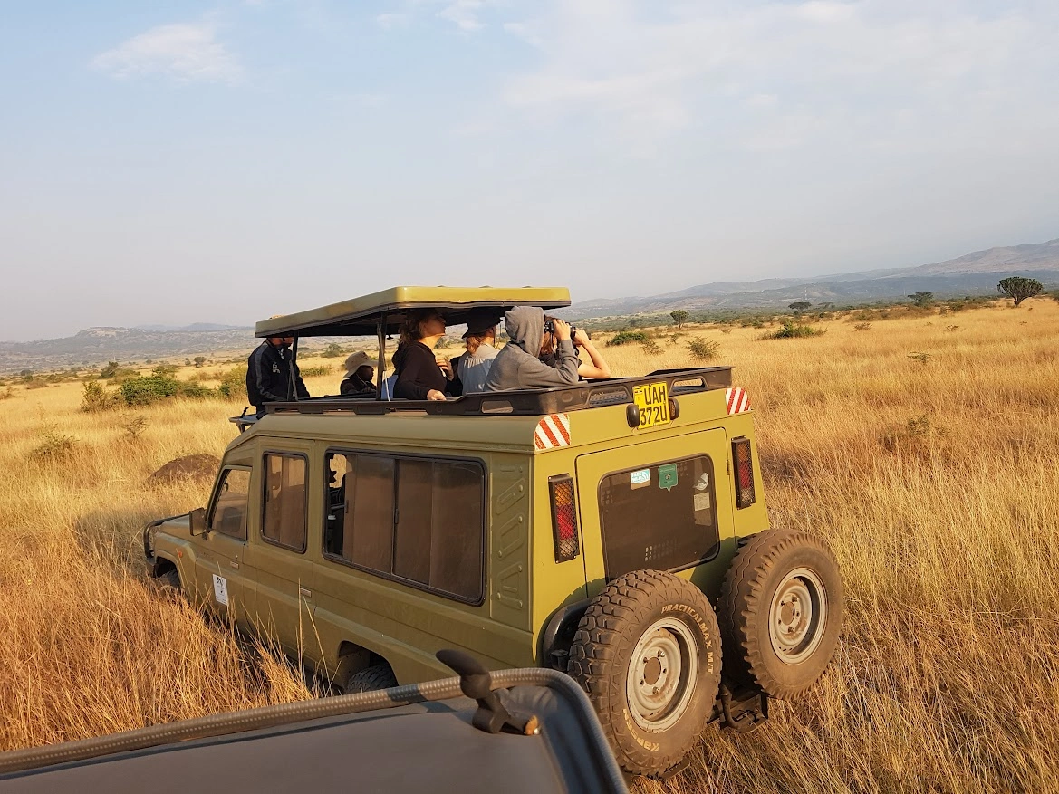 Double Gorilla Trekking Safari