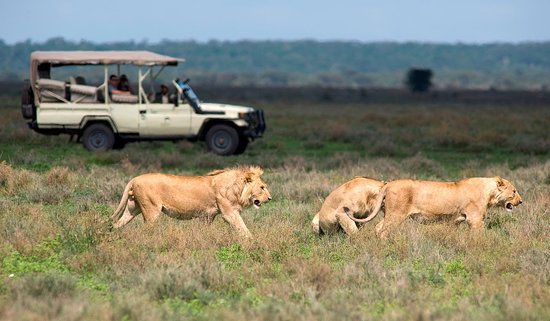 Murchison Falls